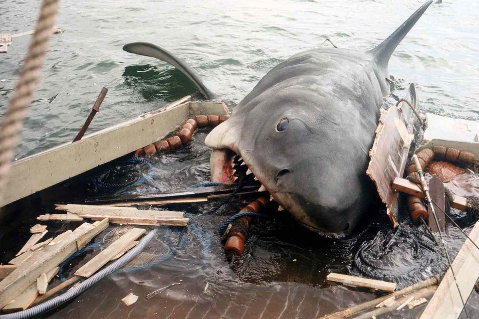 jaws.jpg